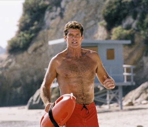 davidhasselhoff